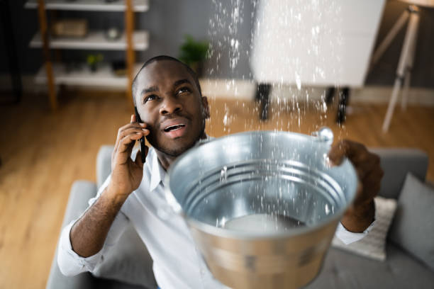 Best Water damage cleanup near me  in Kirkland, IL