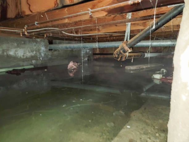 Best Commercial water damage restoration  in Kirkland, IL