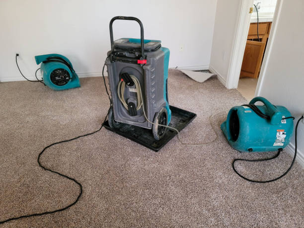 Best Water damage restoration process  in Kirkland, IL