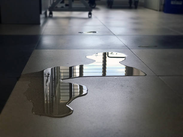 Best Carpet water damage restoration  in Kirkland, IL