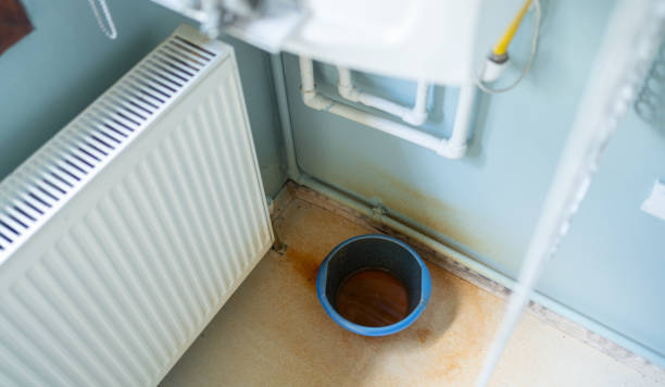 Best Local water damage restoration  in Kirkland, IL