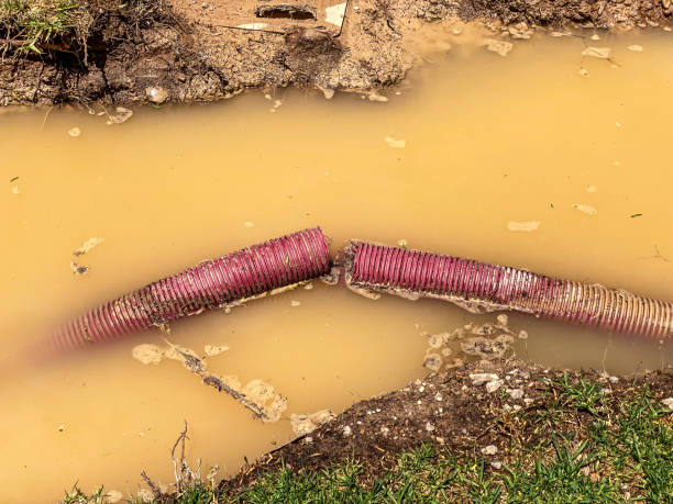 Best Water damage restoration insurance claims  in Kirkland, IL